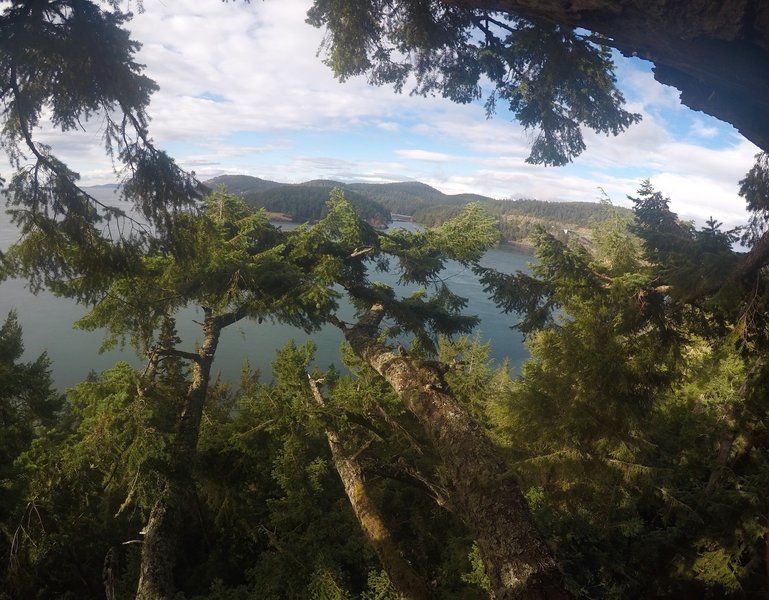 Looking over to Bowman Bay, from the top of the tree.