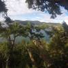 Looking over to Bowman Bay, from the top of the tree.