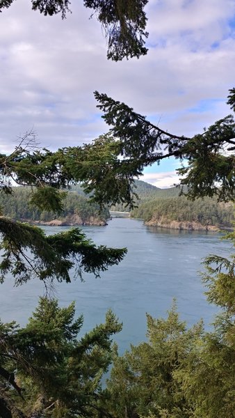 Get an bird's eye view of Deception Pass, from the top of the trees.