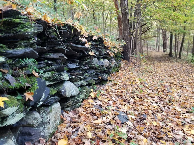 Remnants of a rock wall along the Arrow Island Trail.