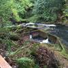 Salmon ladder on the river.