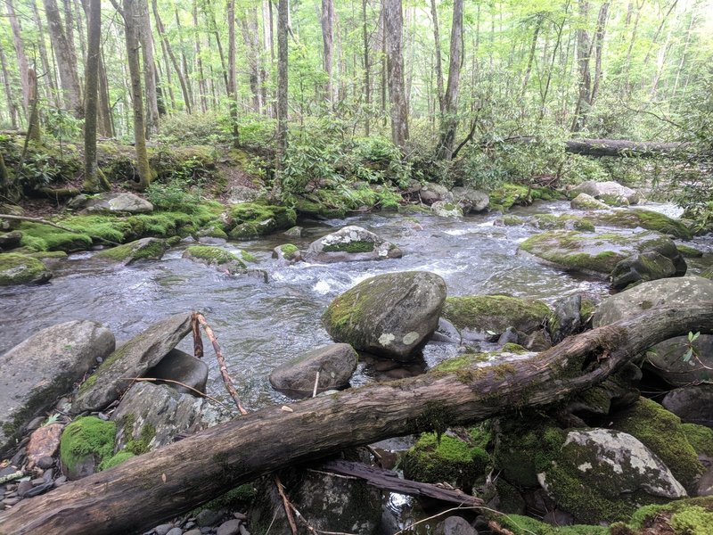 Slickrock Creek