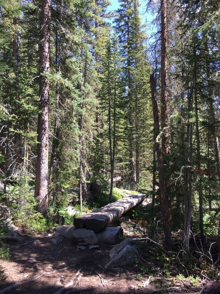 Log Bridge along the way to Watanga Lake