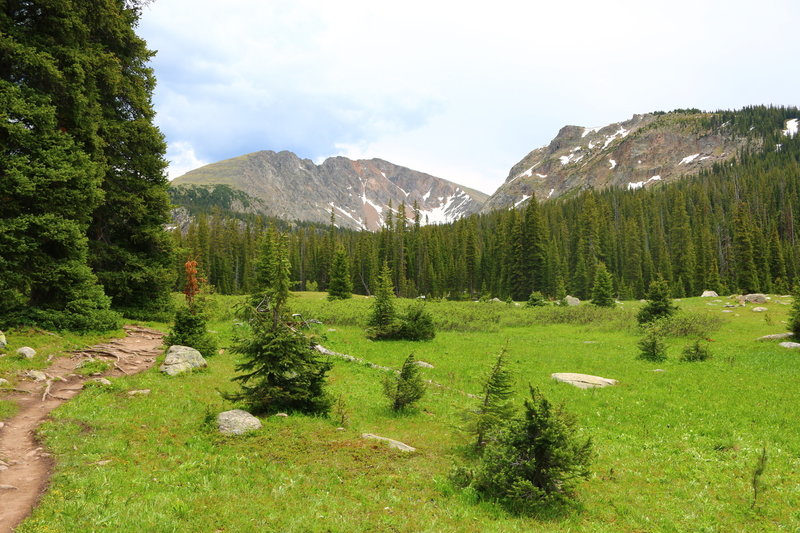 Trail along lower meadow as you enter Indian Peaks Wilderness