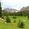 Trail along lower meadow as you enter Indian Peaks Wilderness