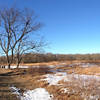 Field along the Yellow Trail in Mashomack Preserve