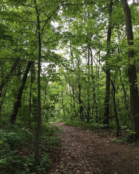 Inwood Hill Park