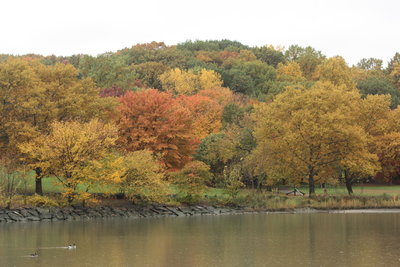 Inwood Hill Park