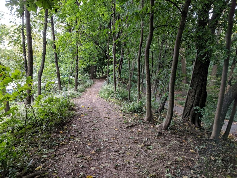 Prospect Park Flatbush Ave side trail