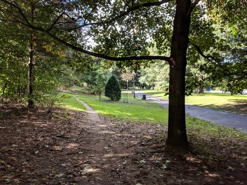 Prospect Park SW trail, looking North