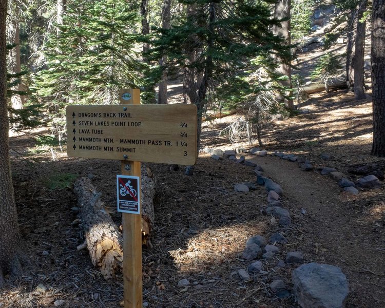 Dragon's Back trailhead in the Twin Lakes Campground (8,600 ft).