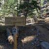 Dragon's Back trailhead in the Twin Lakes Campground (8,600 ft).