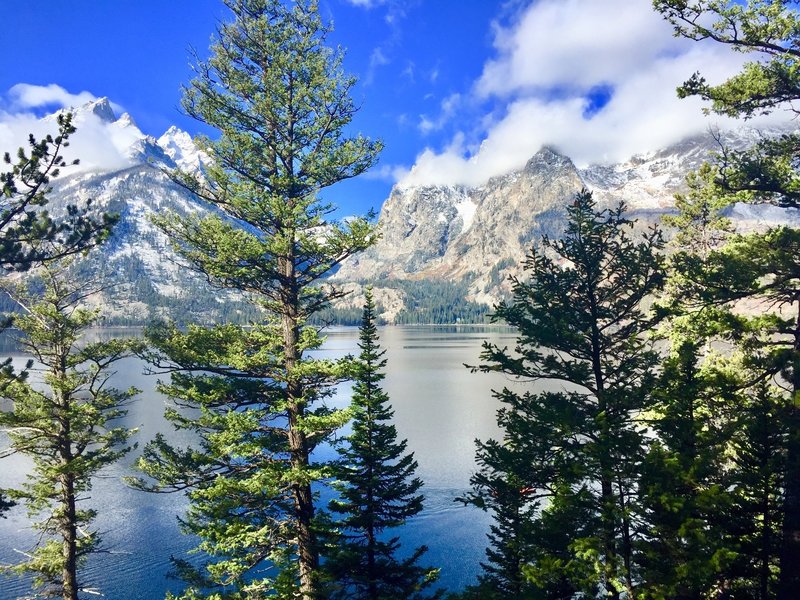 Peeking at Jenny Lake through the trees on the Jenny Lake Trail 10/12/18