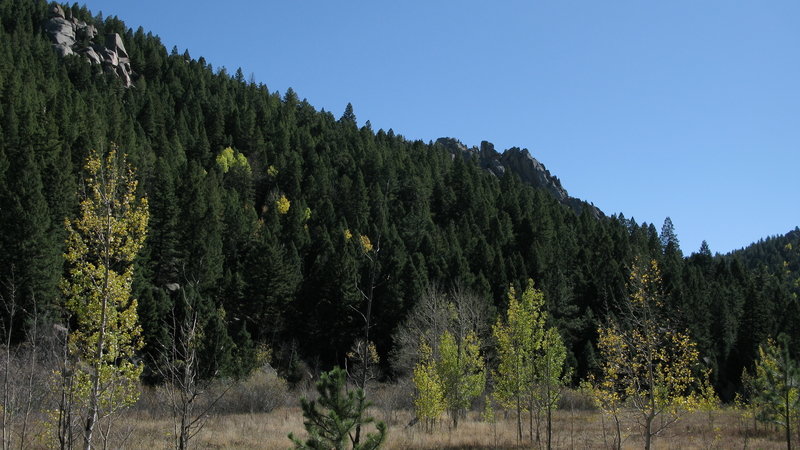 Aspens in Limbaugh Canyon