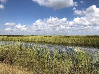Looking northwest close to the trailhead.