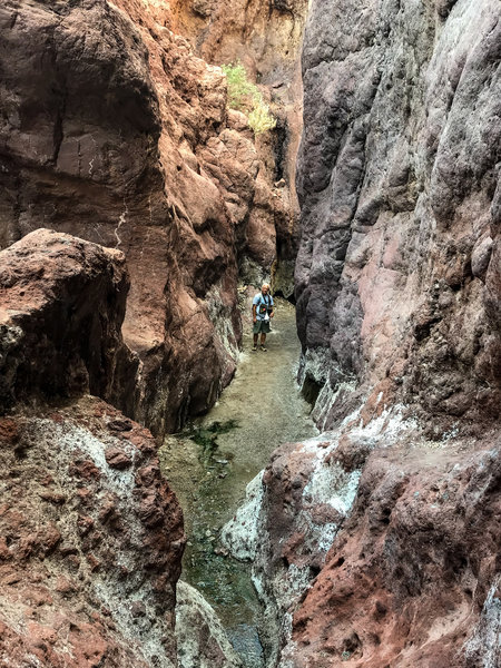 Hikers on Arizona Hot Springs Trail