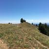 Oregon Butte Lookout