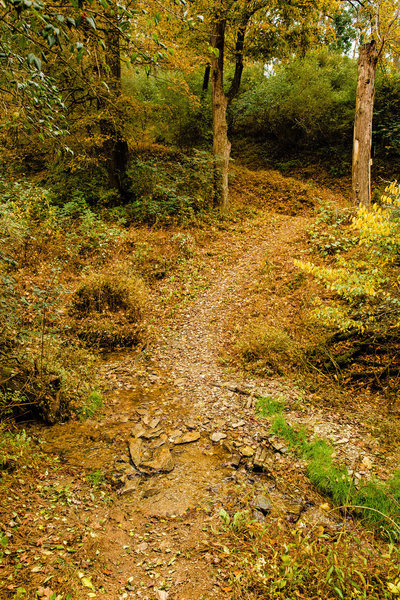 Small Water Crossing