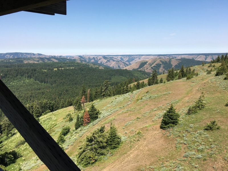 View to the west from High Ridge Lookout toward the North Fork Umatilla Wilderness