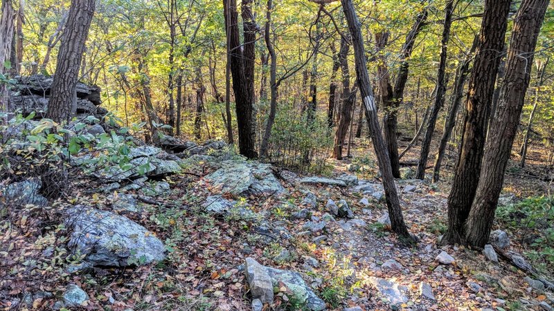 Typical trail terrain in between the many viewpoints along the AT in northern New Jersey.