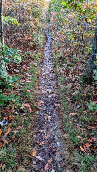 Singletrack is the best track.