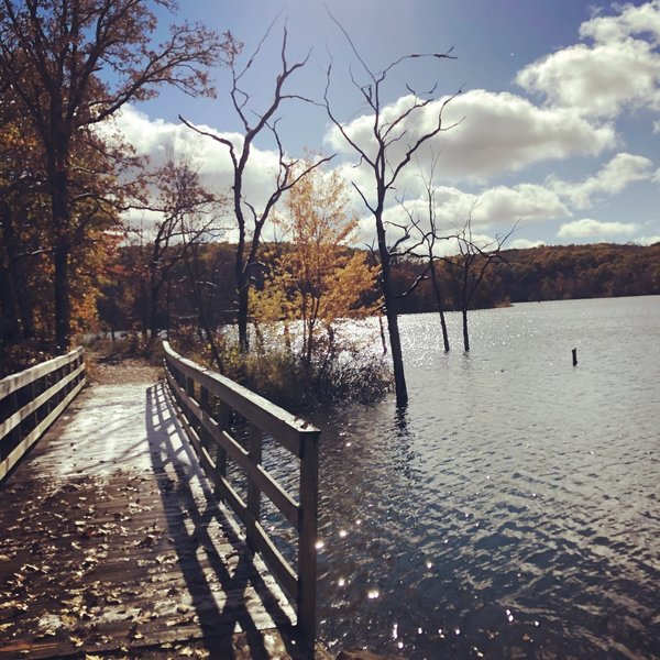 Small bridge along the lake path