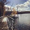 Small bridge along the lake path