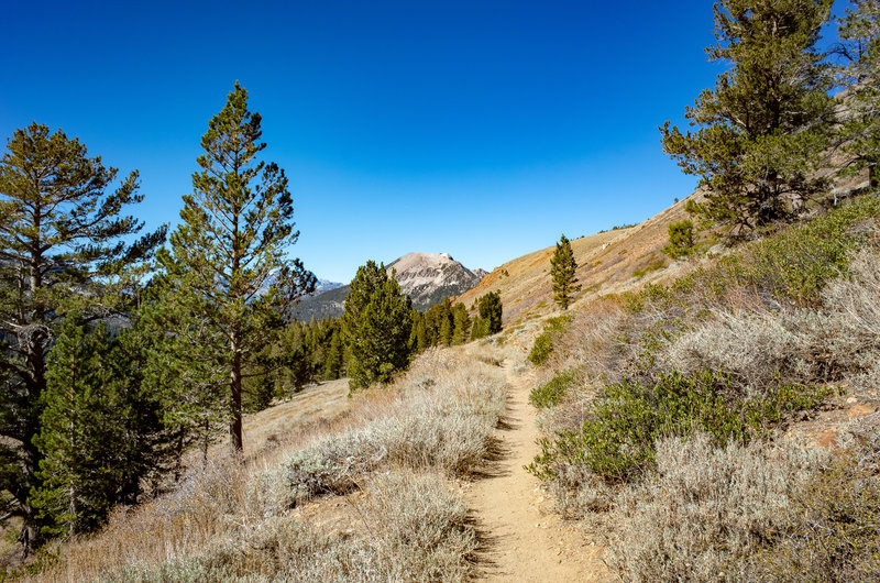 Mammoth Mountain viewed from the Heart Lake Trail.