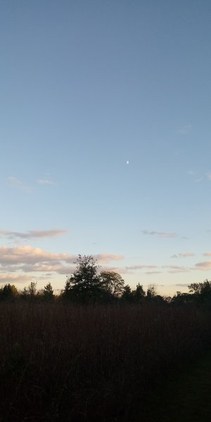 The evening sky over Blue Stem Trail