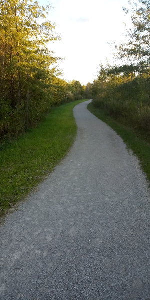 Shagbark Loop Trail