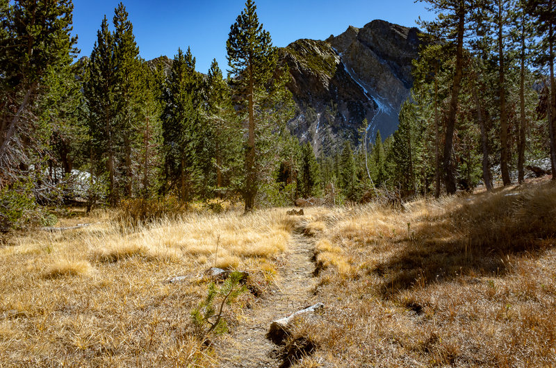 Singletrack on the way up to Ram Lake from Purple Lake.