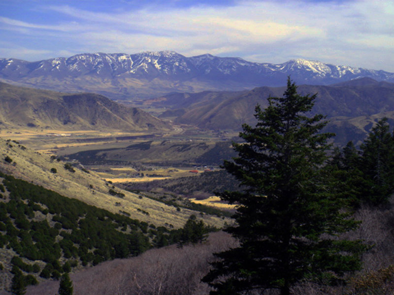 View looking SE from the south side of the trail accessed via Gibson Jack Trail.