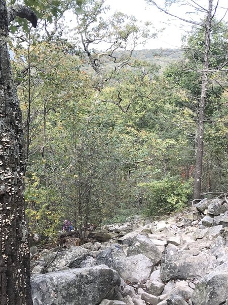 Decent sized boulders about halfway up the Red Dot trail.