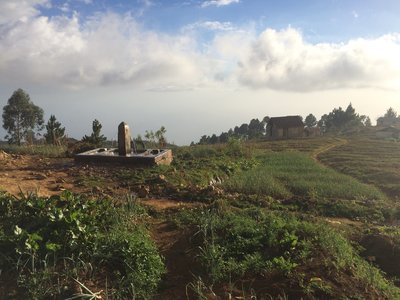 seguin farm with water trough