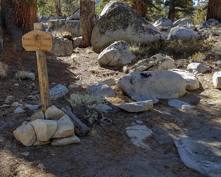 The juncture of Sherwin Lakes Trail and Valentine Lake Trail.