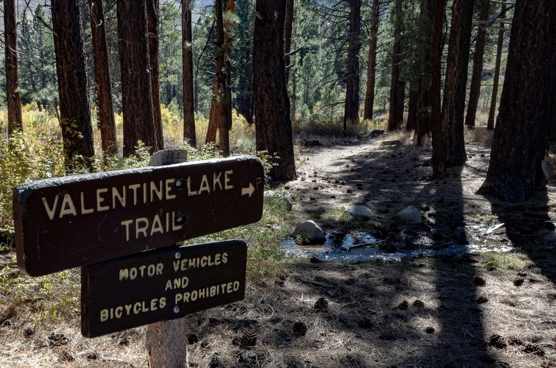 Trailhead for Valentine Lake Trail off of Sherwin Creek Road.