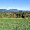 A 2.7 mile hike through a thick forest landscape ends with this amazing expanse - Rands View, with Wetauwanchu Mountain on the left, and Bear Mountain and Mount Everett in Massachusetts on the horizon.