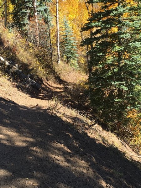 Clear Fork Trail in the lower stretches.