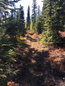 Southern section of Eagle Ridge Trail