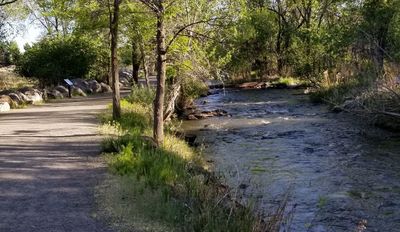 Surface Creek and Surface Creek Trail
