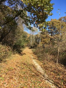 South Unit trail, late October.