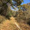 South Unit trail, late October.