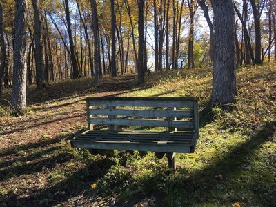 Bench overlooking Founders Pond