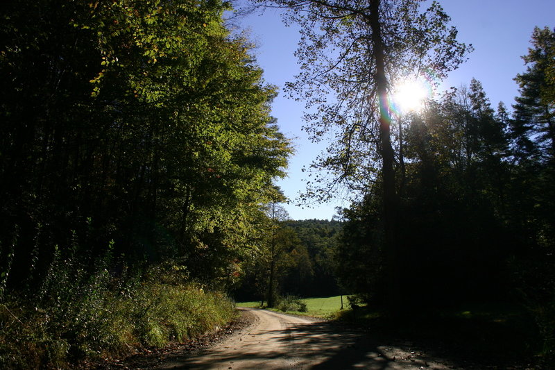 Trailhead parking along the road