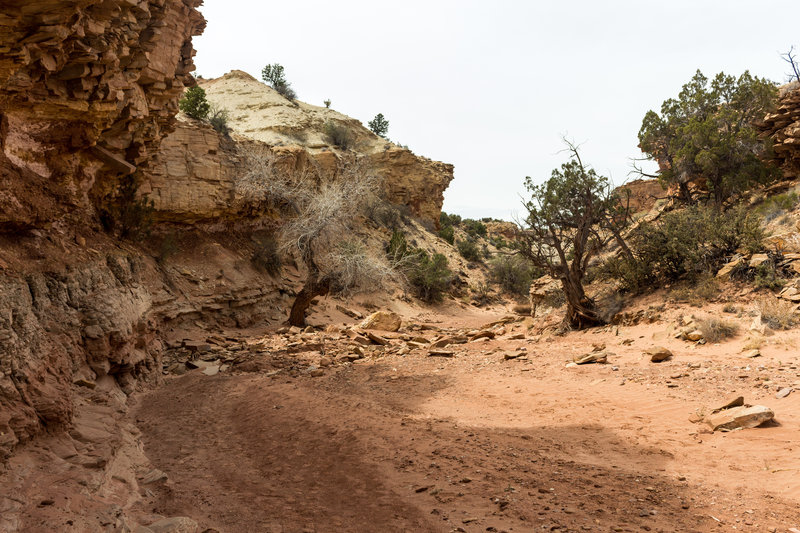 Entrance to Sheets Gulch