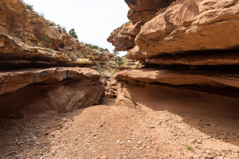 Sheets Gulch narrows and deepens