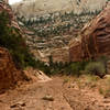 Most of Sheets Gulch is very rocky and sandy