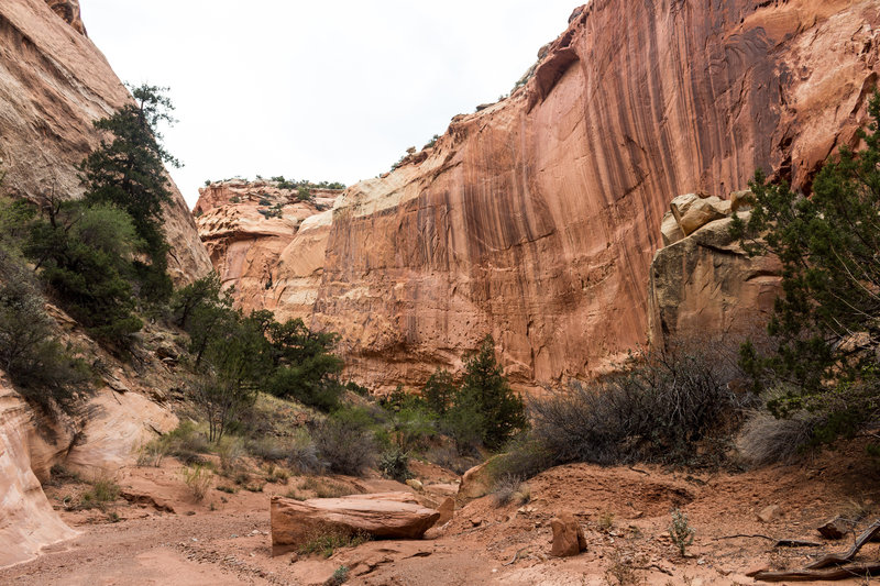 Sheets Gulch carved into the rock over millions of years