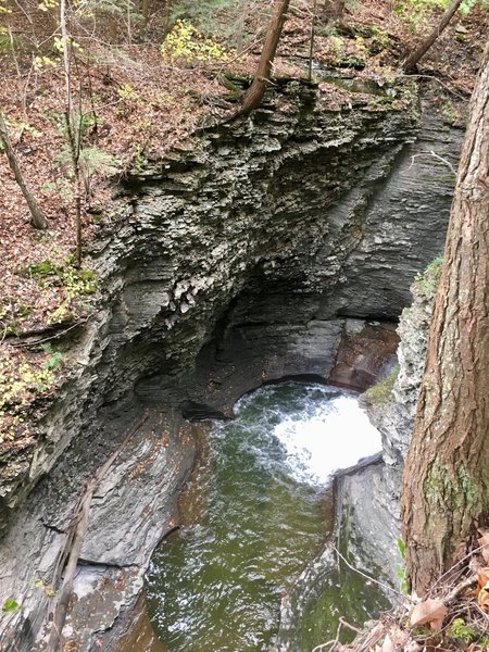 Deep pool along the trail