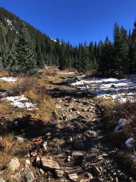 Looking south on a muddy/snowy Williams Lake Trail in October.